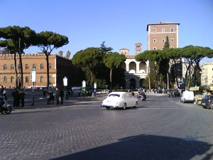 Pines and cars - Italian style