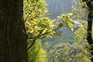 IMG_3732