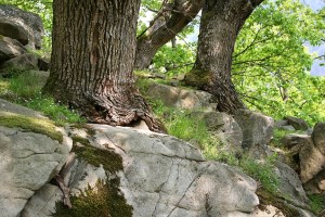 IMG_3846