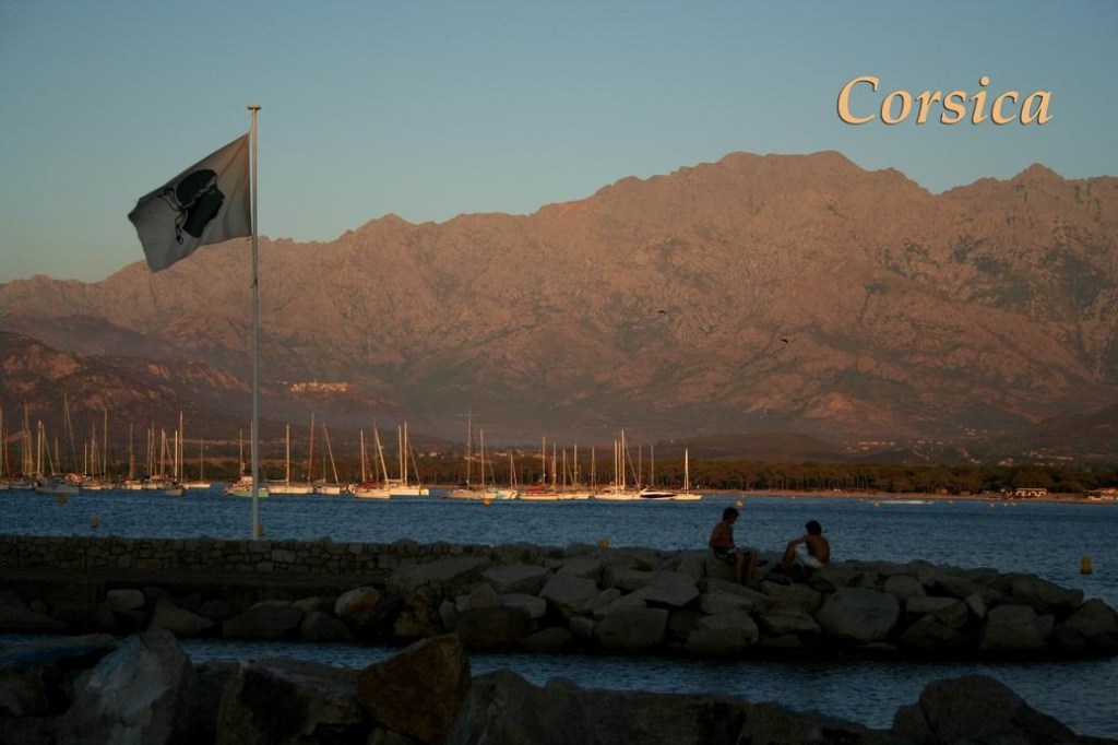 Corsican flag