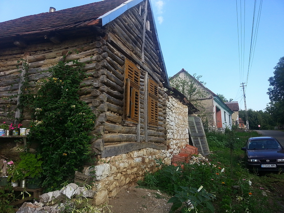 And another one, alive and well, in Potoc village, Cheile Nerei, Caras-Severin county