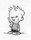 calvin