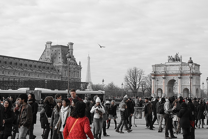 A seagull's glimpse of the Eiffel Tower