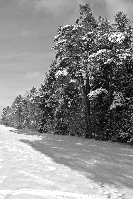 DSC_1547_m
