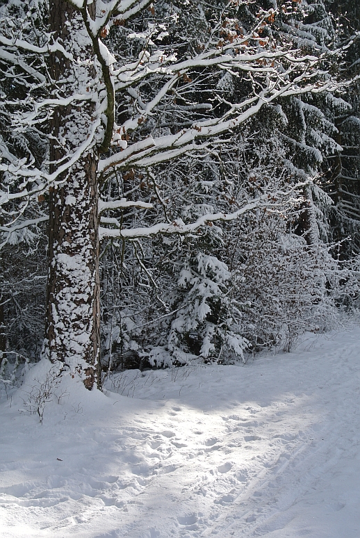 DSC_1564_m_col
