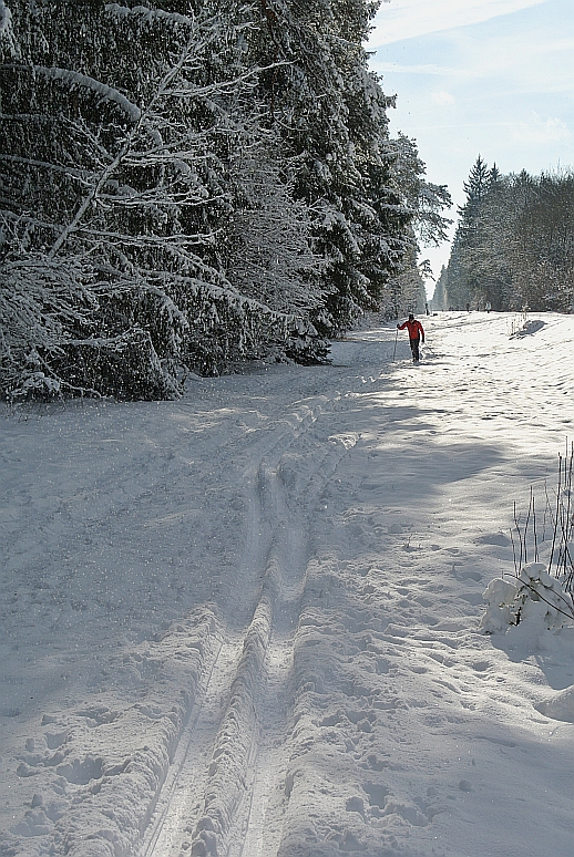 DSC_1570_m