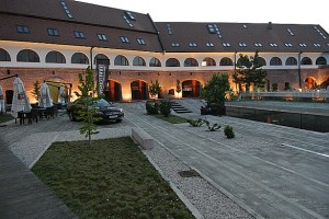 DSC_2798_mic