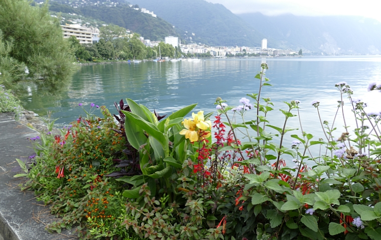 Lake Geneva (Leman) with beautiful gardens at Montreux (VD)