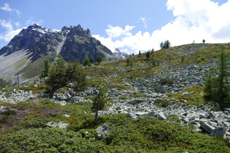 On the planets trek (Sentier des Planetes) - Touno (VS)