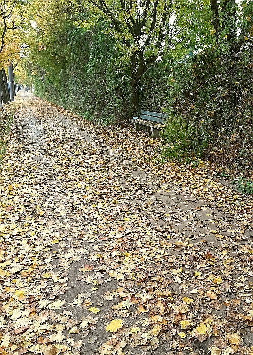 20151021_143616